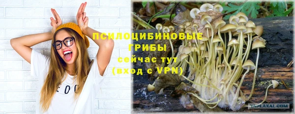 не бодяженный Аркадак