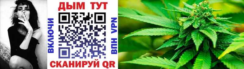 Конопля индика darknet наркотические препараты Калтан как найти закладки